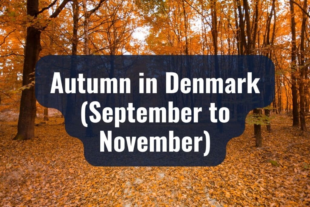 Autumn in Denmark (September to November)