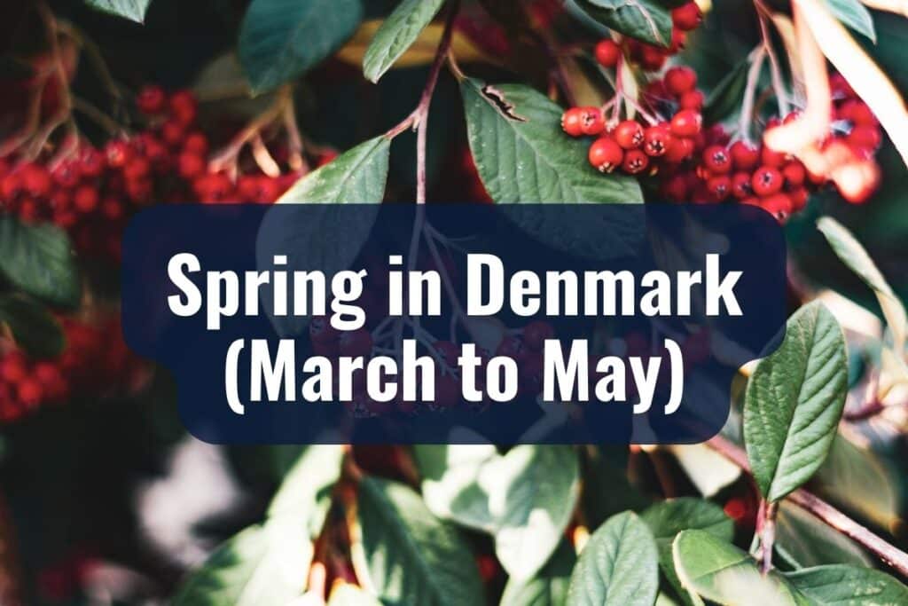 Spring in Denmark (March to May)